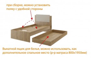 Дуглас (подростковая) М14 Кровать в Перми - perm.mebel-74.com | фото