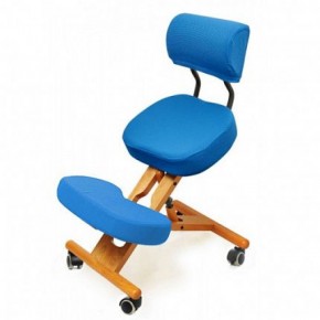 Коленный стул со спинкой Smartstool KW02В + Чехлы в Перми - perm.mebel-74.com | фото