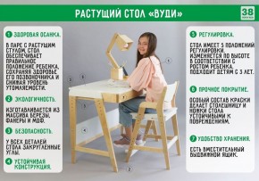 Комплект растущий стол и стул с чехлом 38 попугаев «Вуди» (Белый, Белый, Салют) в Перми - perm.mebel-74.com | фото