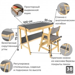 Комплект растущий стол и стул с чехлом 38 попугаев «Вуди» (Серый, Береза, Серый) в Перми - perm.mebel-74.com | фото