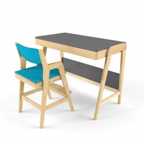 Комплект растущий стол и стул с чехлом 38 попугаев «Вуди» (Серый, Без покрытия, Лазурь) в Перми - perm.mebel-74.com | фото