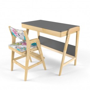 Комплект растущий стол и стул с чехлом 38 попугаев «Вуди» (Серый, Без покрытия, Мечта) в Перми - perm.mebel-74.com | фото