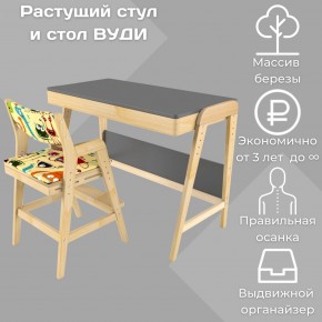 Комплект растущий стол и стул с чехлом 38 попугаев «Вуди» (Серый, Без покрытия, Монстры) в Перми - perm.mebel-74.com | фото