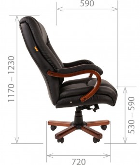 Кресло для руководителя CHAIRMAN  503 (Кожа) Черное в Перми - perm.mebel-74.com | фото