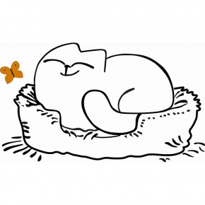 Кровать двухуровневая Кот № 900.1 ЛЕВАЯ (туя светлая/белый) в Перми - perm.mebel-74.com | фото
