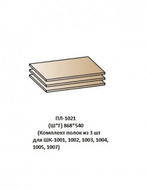ПЛ-1021 (Комплект полок из 3 шт для ШК-1001, 1002, 1003, 1004, 1005, 1007) в Перми - perm.mebel-74.com | фото