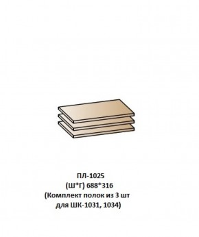 ПЛ-1025 (Комплект полок из 3 шт для ШК-1031, 1034) в Перми - perm.mebel-74.com | фото