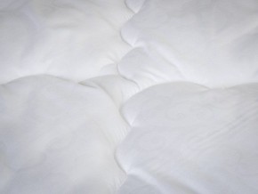PROxSON Одеяло классическое PROSON (Стеганное полотно) 140x200 в Перми - perm.mebel-74.com | фото