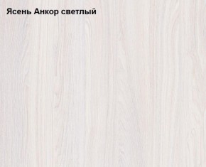 Шкаф 1-но дверный для одежды Ольга 1Н в Перми - perm.mebel-74.com | фото