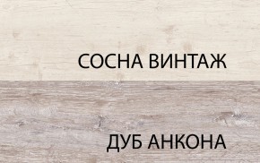 Шкаф 2D1SL, MONAKO, цвет Сосна винтаж/дуб анкона в Перми - perm.mebel-74.com | фото