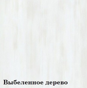 Шкаф 6-ти секционный Люкс 6 Плюс ЛДСП Стандарт (фасад стекло Черное) в Перми - perm.mebel-74.com | фото
