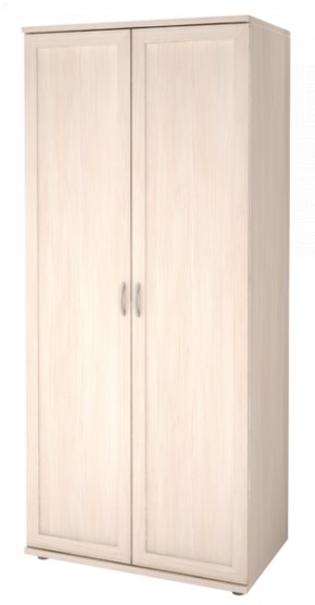 Шкаф для одежды 2-х дверный Ника-Люкс 21 в Перми - perm.mebel-74.com | фото