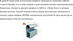 Шкаф-купе 1500 серии SILVER S5+S5+B2+PL3 (2 ящика+2 штанги) профиль «Серебро» в Перми - perm.mebel-74.com | фото