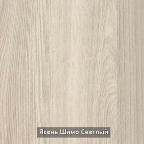Шкаф купе без зеркала "Ольга 10.1" в Перми - perm.mebel-74.com | фото