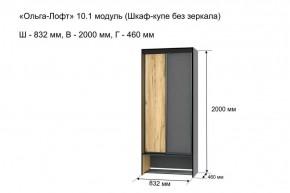 Шкаф купе без зеркала "Ольга-Лофт 10.1" в Перми - perm.mebel-74.com | фото