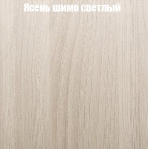 Шкаф-купе «ТАНДЕМ» 2-х дверный в алюминиевом профиле (Дверь ЛДСП+Z) 1600/h2200 в Перми - perm.mebel-74.com | фото