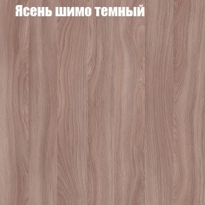 Шкаф-купе «ТАНДЕМ» 2-х дверный в алюминиевом профиле (Дверь ЛДСП+Z) 1600/h2200 в Перми - perm.mebel-74.com | фото