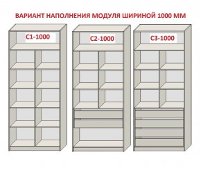 Шкаф распашной серия «ЗЕВС» (PL3/С1/PL2) в Перми - perm.mebel-74.com | фото