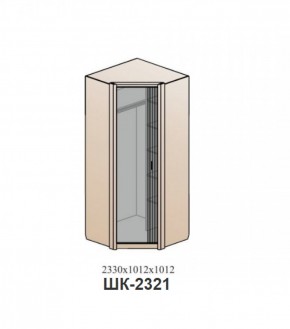 Шкаф ШЕР Дуб серый/айронвуд серебро (ШК-2321) в Перми - perm.mebel-74.com | фото