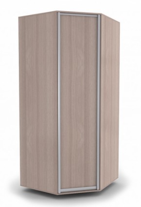 Шкаф угловой с распашной дверью №18 ШУР18 в Перми - perm.mebel-74.com | фото