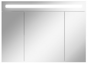 Шкаф-зеркало Аврора 100 с подсветкой LED Домино (DV8012HZ) в Перми - perm.mebel-74.com | фото