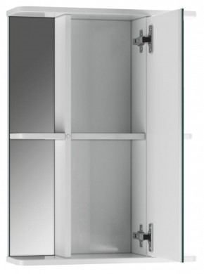 Шкаф-зеркало Норма 2-50 правый АЙСБЕРГ (DA1608HZ) в Перми - perm.mebel-74.com | фото