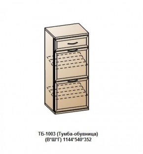 ТБ-1003 (Тумба-обувница) в Перми - perm.mebel-74.com | фото