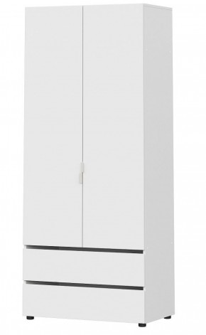 Токио Шкаф 2-х створчатый с 2-мя ящиками (*без полок) в Перми - perm.mebel-74.com | фото