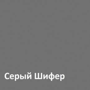 Юнона Шкаф торцевой 13.221 в Перми - perm.mebel-74.com | фото
